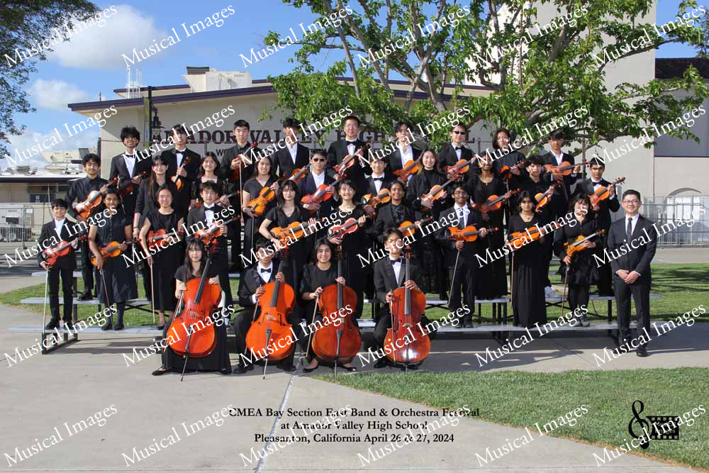 Musical Images